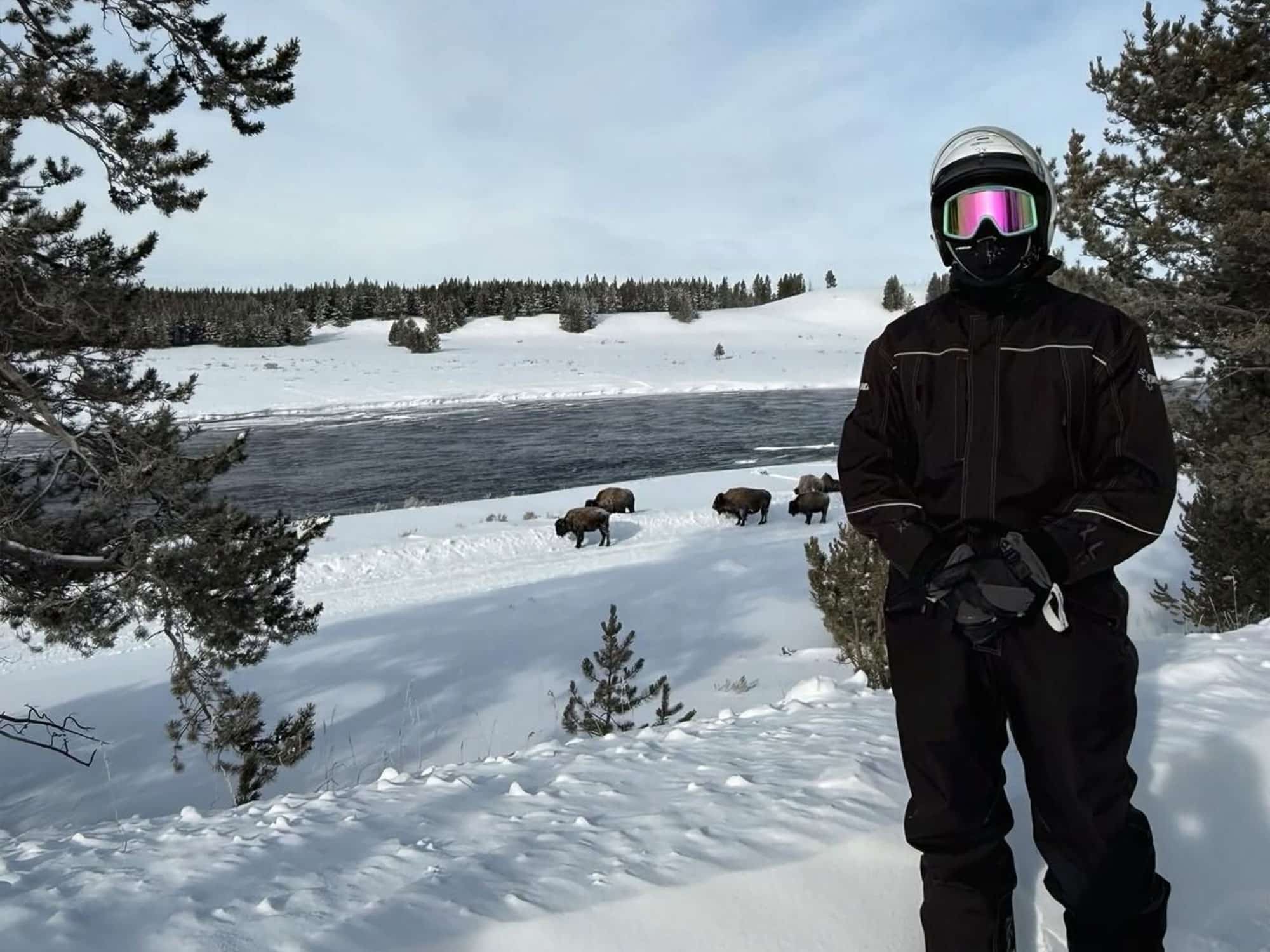 A person in snow attire stands near a snowy riverbank, with bison grazing and a forested landscape in the background.